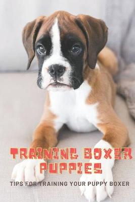 Book cover for Training Boxer Puppies