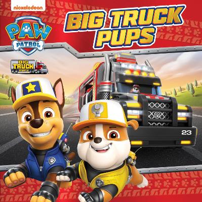 Book cover for PAW Patrol Big Truck Pups Picture Book