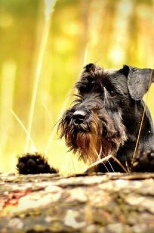 Cover of Miniature Schnauzer Notebook