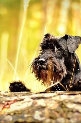 Cover of Miniature Schnauzer Notebook