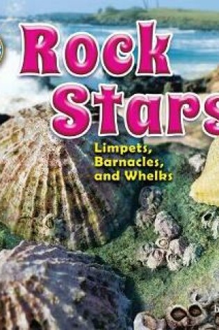 Cover of Rock Stars