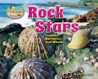 Book cover for Rock Stars