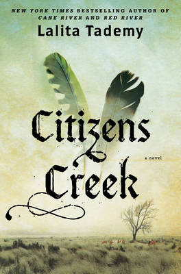 Book cover for Citizens Creek