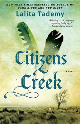 Book cover for Citizens Creek