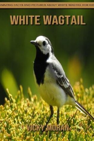 Cover of White Wagtail