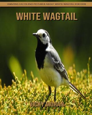 Book cover for White Wagtail