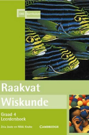 Cover of Raakvat Wiskunde Graad 4 Learner's Book