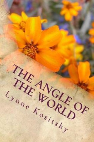Cover of The Angle of the World