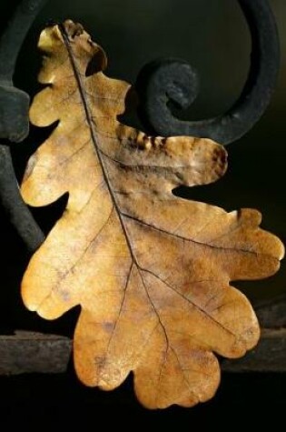 Cover of Wonderful Autumn Oak Leaf Journal