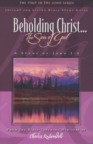 Book cover for Beholding Christ