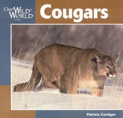 Cover of Cougars