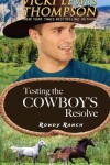 Book cover for Testing the Cowboy's Resolve
