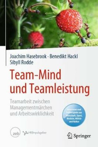 Cover of Team-Mind Und Teamleistung