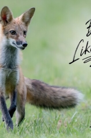 Cover of Be Like a Fox