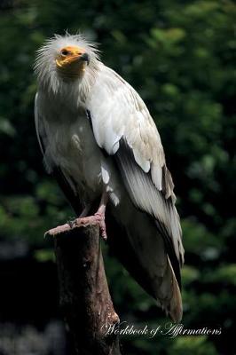 Book cover for Egyptian Vulture Workbook of Affirmations Egyptian Vulture Workbook of Affirmations