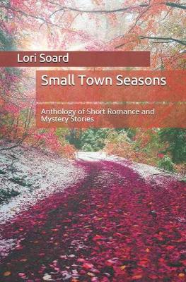 Book cover for Small Town Seasons
