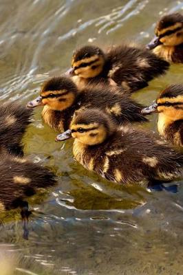 Book cover for Ducklings Mallard Ducks Swimming in V Formation Journal