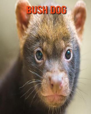 Book cover for Bush Dog