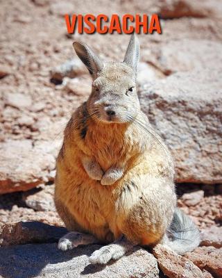 Book cover for Viscacha