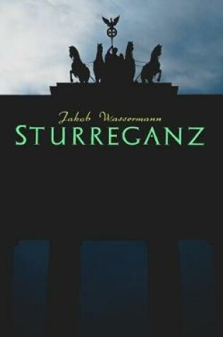 Cover of Sturreganz