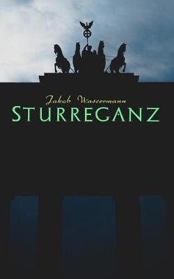 Book cover for Sturreganz