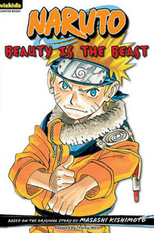 Cover of Naruto: Chapter Book, Vol. 13
