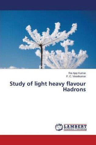 Cover of Study of light heavy flavour Hadrons