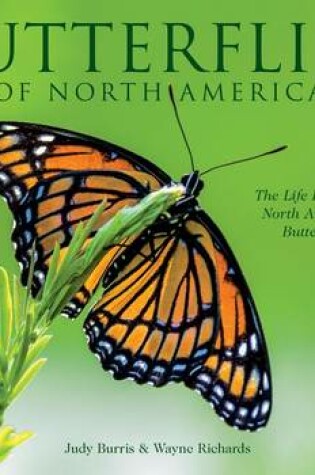 Cover of Butterflies of North America