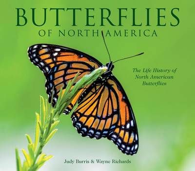 Book cover for Butterflies of North America