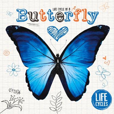 Cover of Butterfly