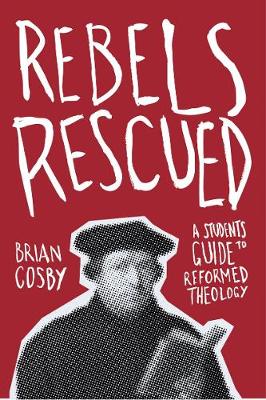 Book cover for Rebels Rescued