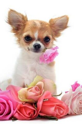 Cover of Chihuahua on Roses, for the Love of Dogs