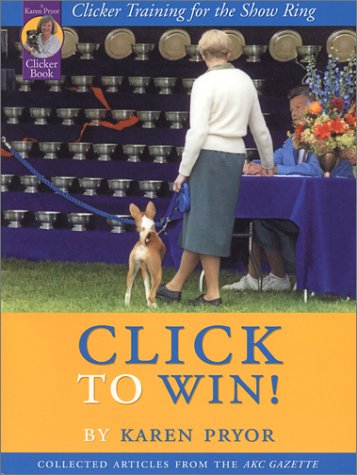 Book cover for Click to Win!