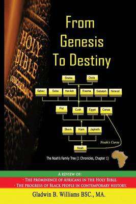 Cover of From Genesis To Destiny