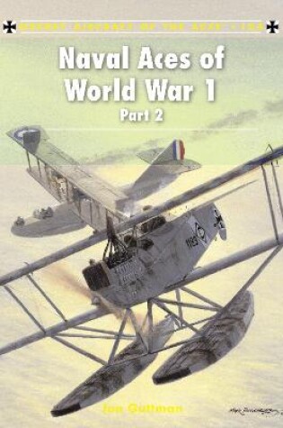 Cover of Naval Aces of World War 1 part 2