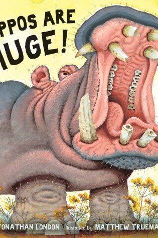 Cover of Hippos Are Huge!