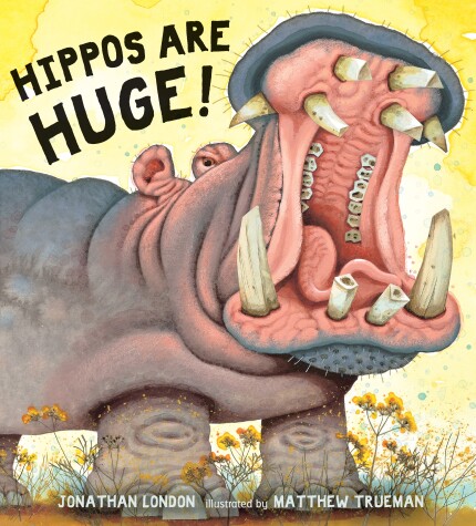 Book cover for Hippos Are Huge!