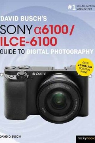 Cover of David Busch’s Sony Alpha a6100/ILCE-6100 Guide to Digital Photography