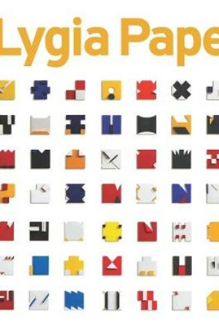 Cover of Lygia Pape