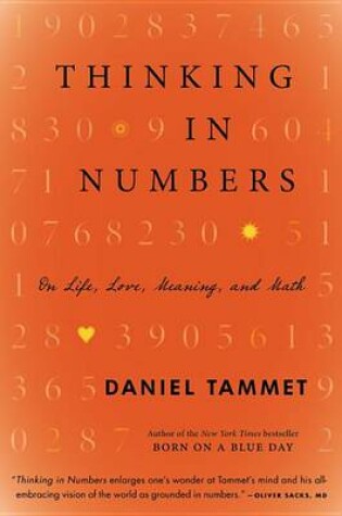 Cover of Thinking in Numbers