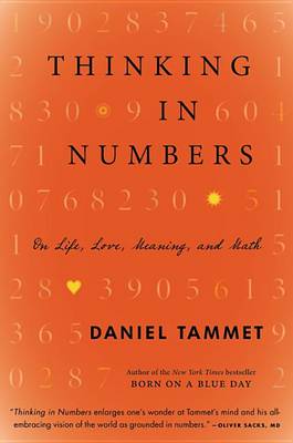 Book cover for Thinking in Numbers