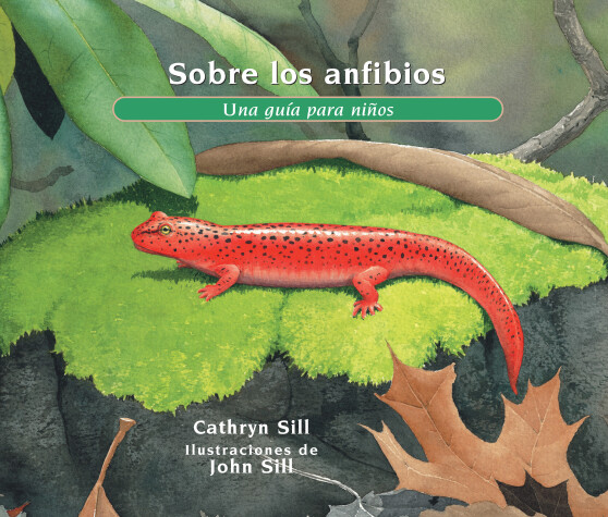 Book cover for Sobre los anfibios