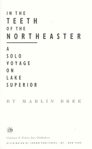 Book cover for In the Teeth of the Northeaste