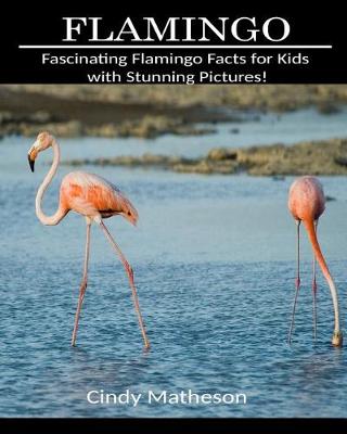 Book cover for Flamingo