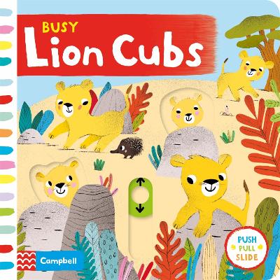 Book cover for Busy Lion Cubs