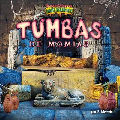 Book cover for Tumbas de Momias (Mummy Tombs)