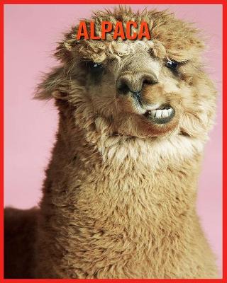 Book cover for Alpaca