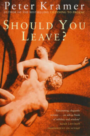 Cover of Should You Leave?