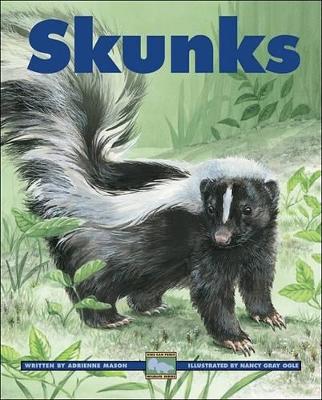 Cover of Skunks