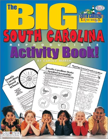 Book cover for The Big South Carolina Activity Book!